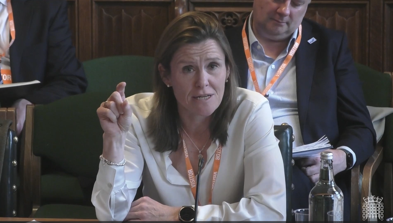 Sarah Kaye select committee