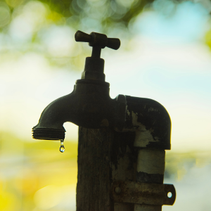dripping outdoor tap in deep shadow, trees in background