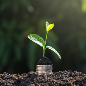 small seedling growing on top of a stack of silver coins