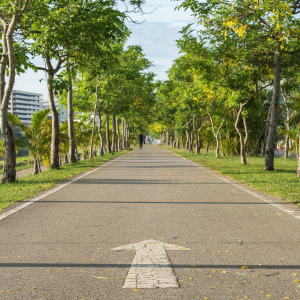 tree lined cycle and running path with arrow